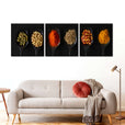 Spoons of dried spices 3 piece Wall Art Pictures