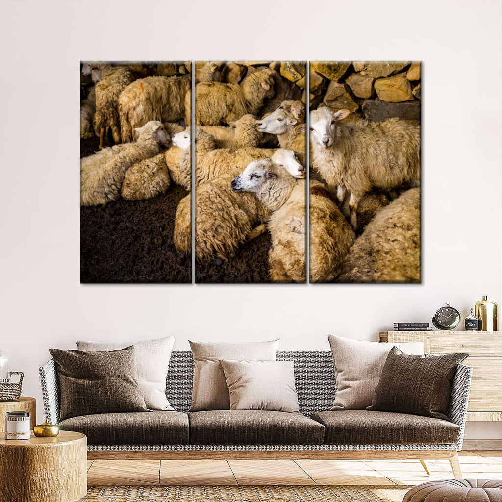 Grubby Sheep Wall Art | Photography