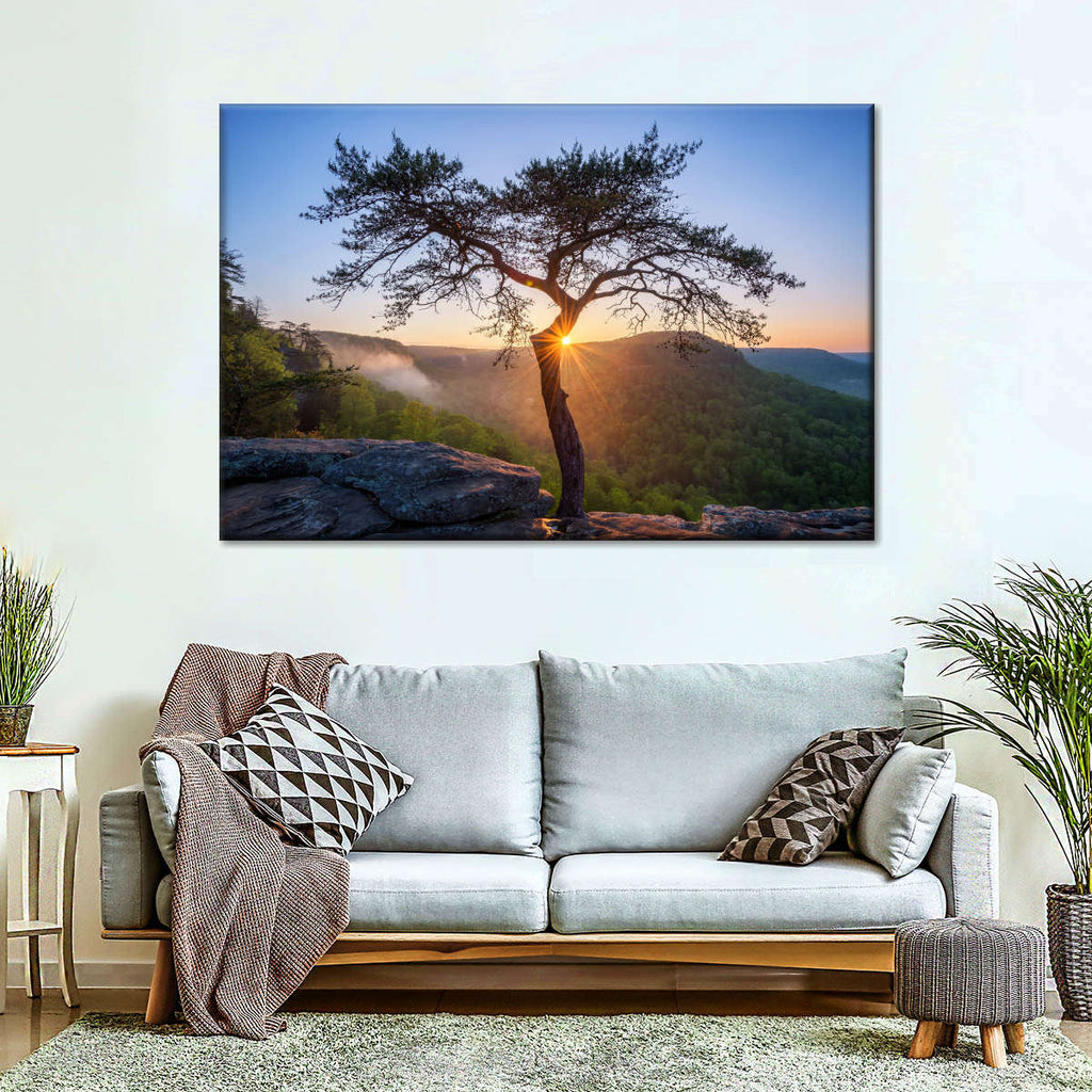 Buzzard's Roost Pine Trees Wall Art | Photography