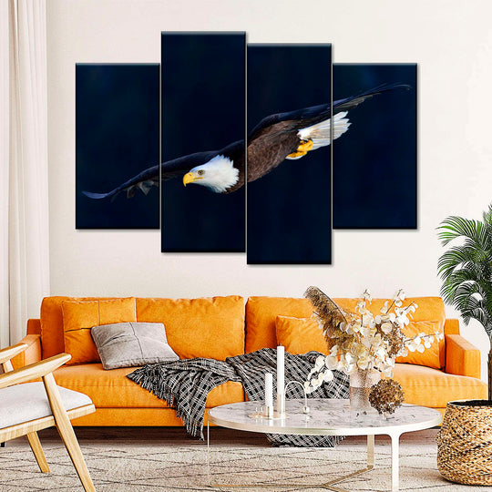 Aerodynamic Eagle Wall Art | Photography