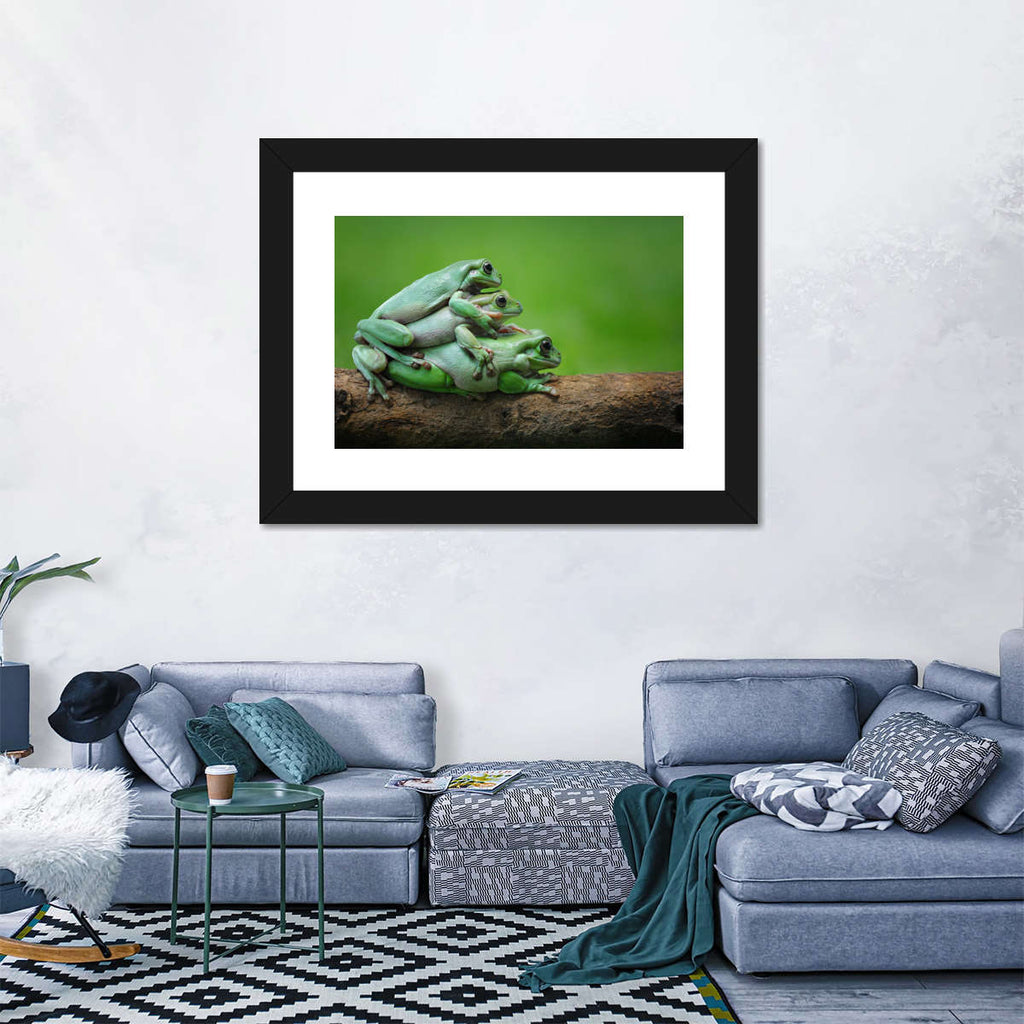 Stacked Green Frogs Wall Art | Photography
