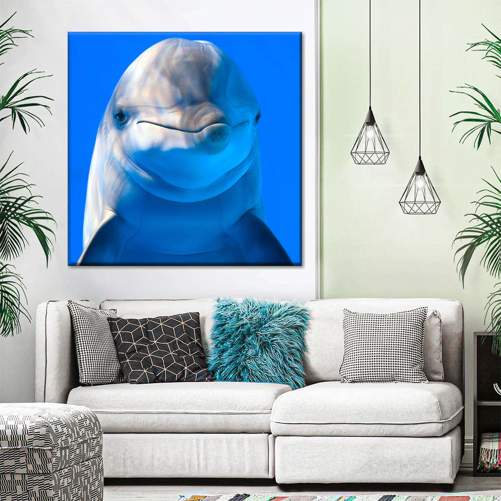 Sociable Dolphin Wall Art | Photography