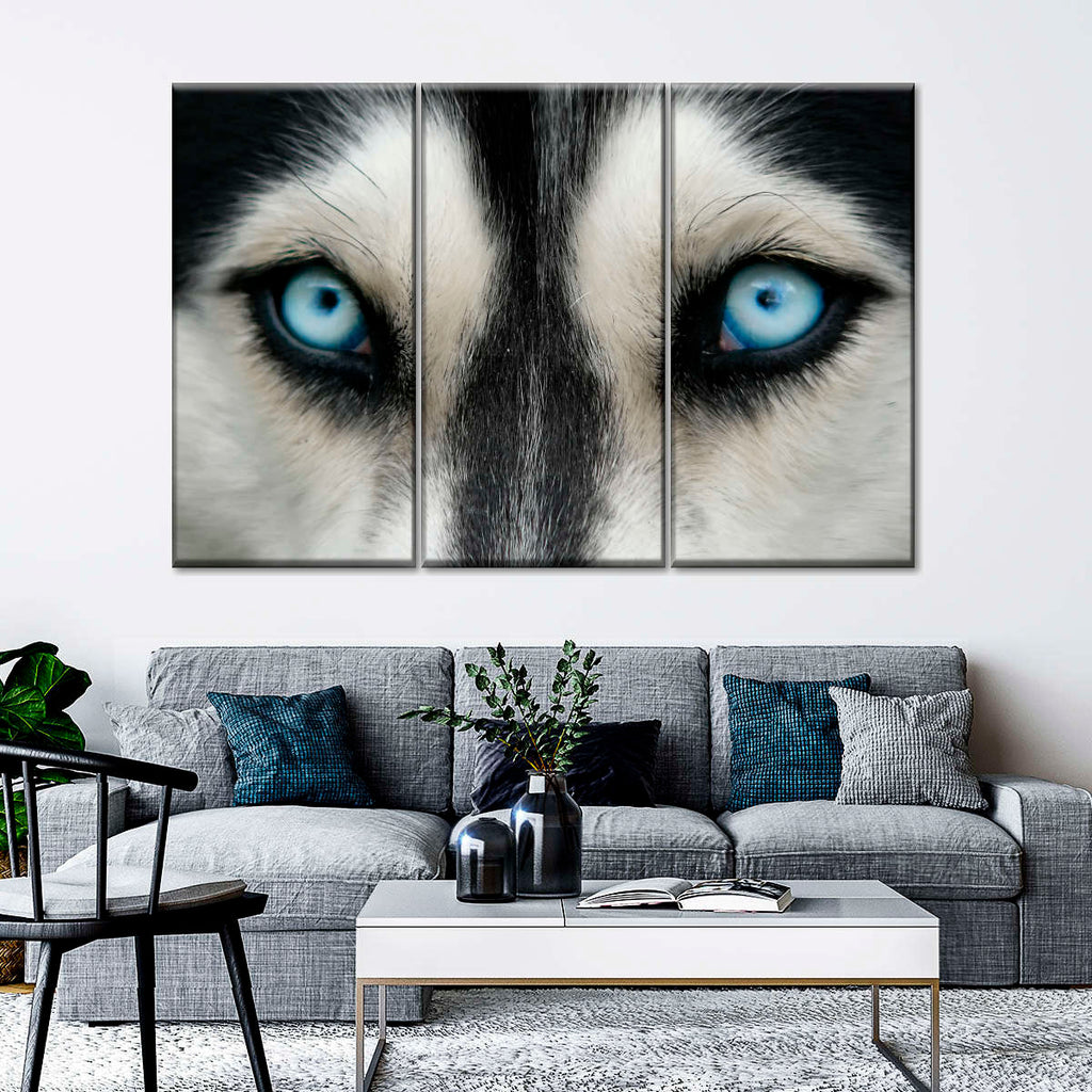 Sky Eyed Husky Wall Art | Photography