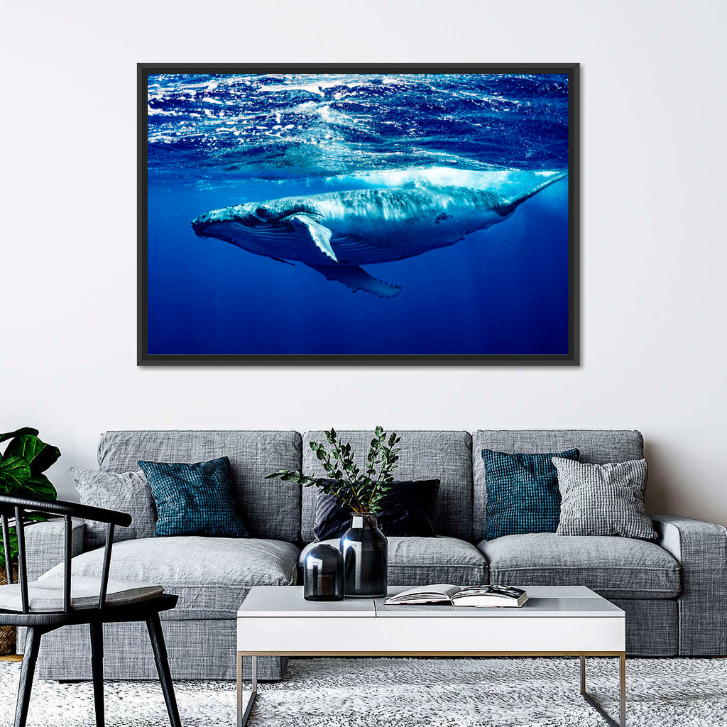 Humpback Whale Below The Surface Wall Art | Photography