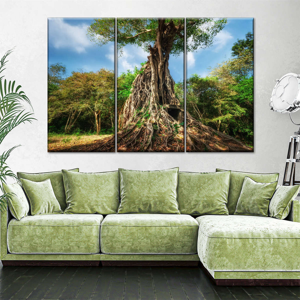 Cambodian Temple Banyan Tree Wall Art | Photography