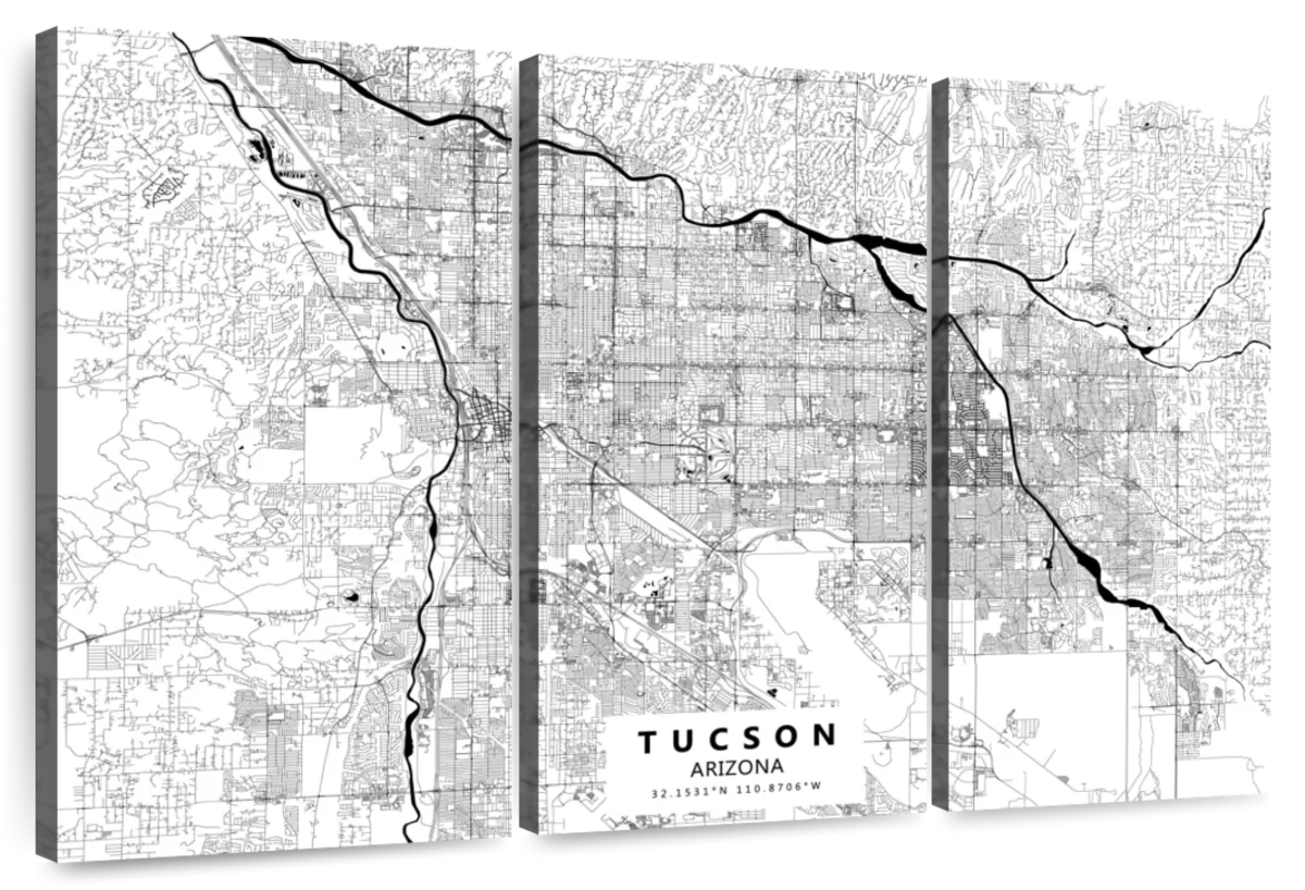 Arizona Push Pin Map with Cities & Terrain- Single Panel