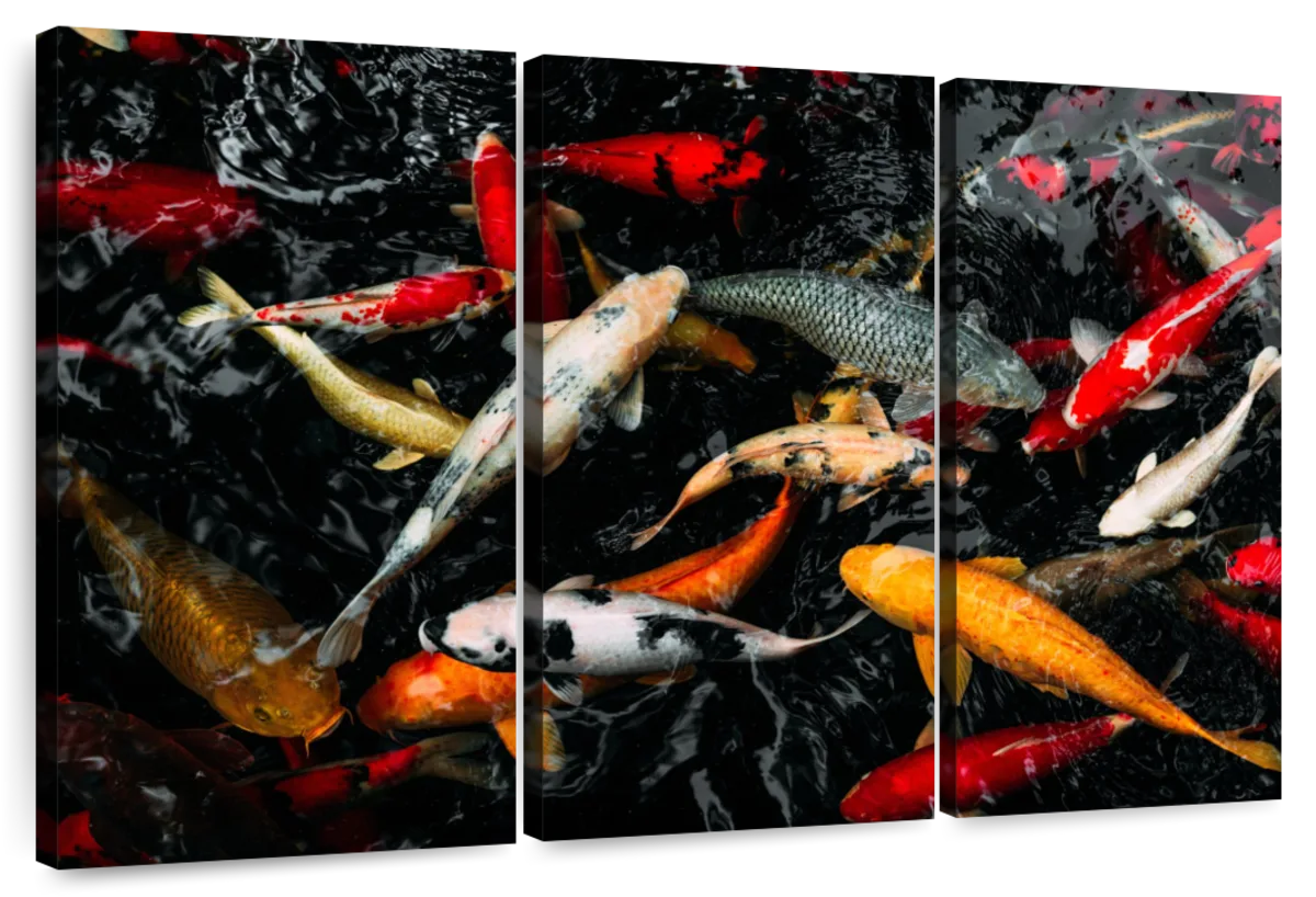 Art Factory Koi Fish Painting Canvas Strecher Canvas 36 inch x 24