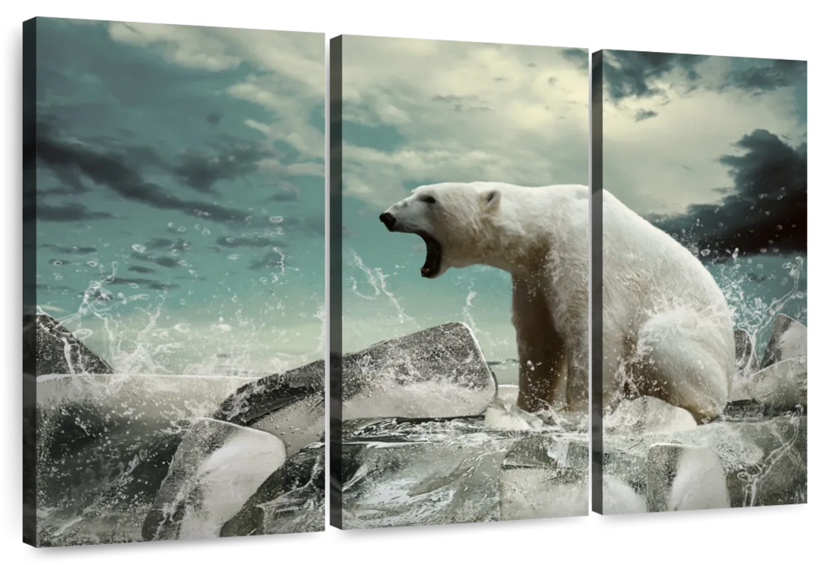 Polar Bear Rage Wall Art | Photography