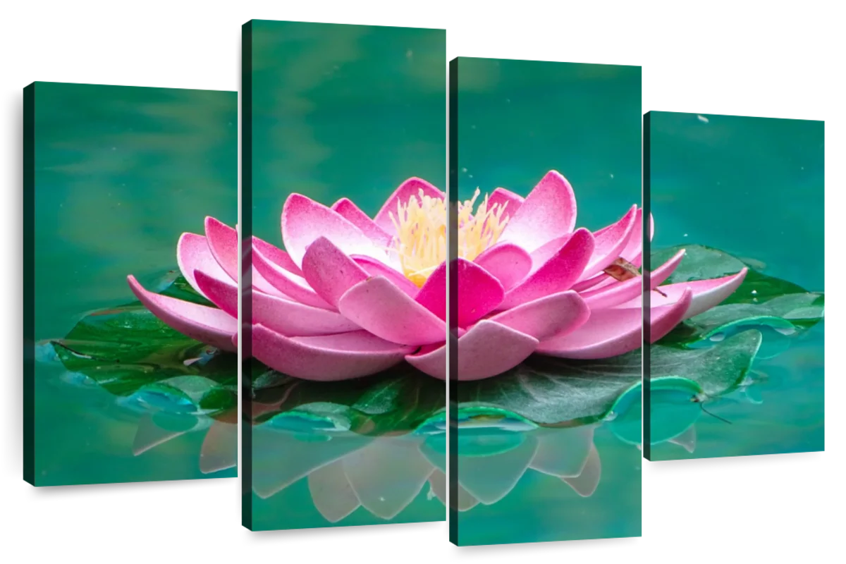 Blooming Lotus Wall Art | Photography