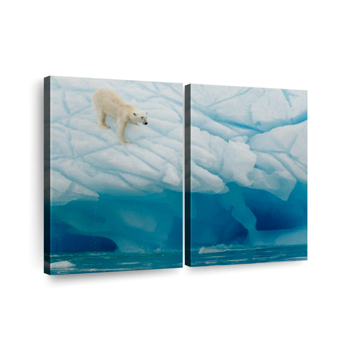 Polar Bear Arctic Dive Wall Art | Photography