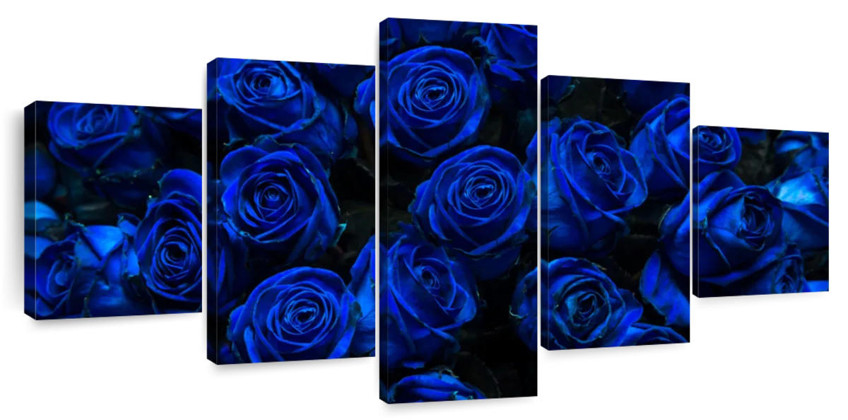 Royal Blue Roses Wall Art | Photography