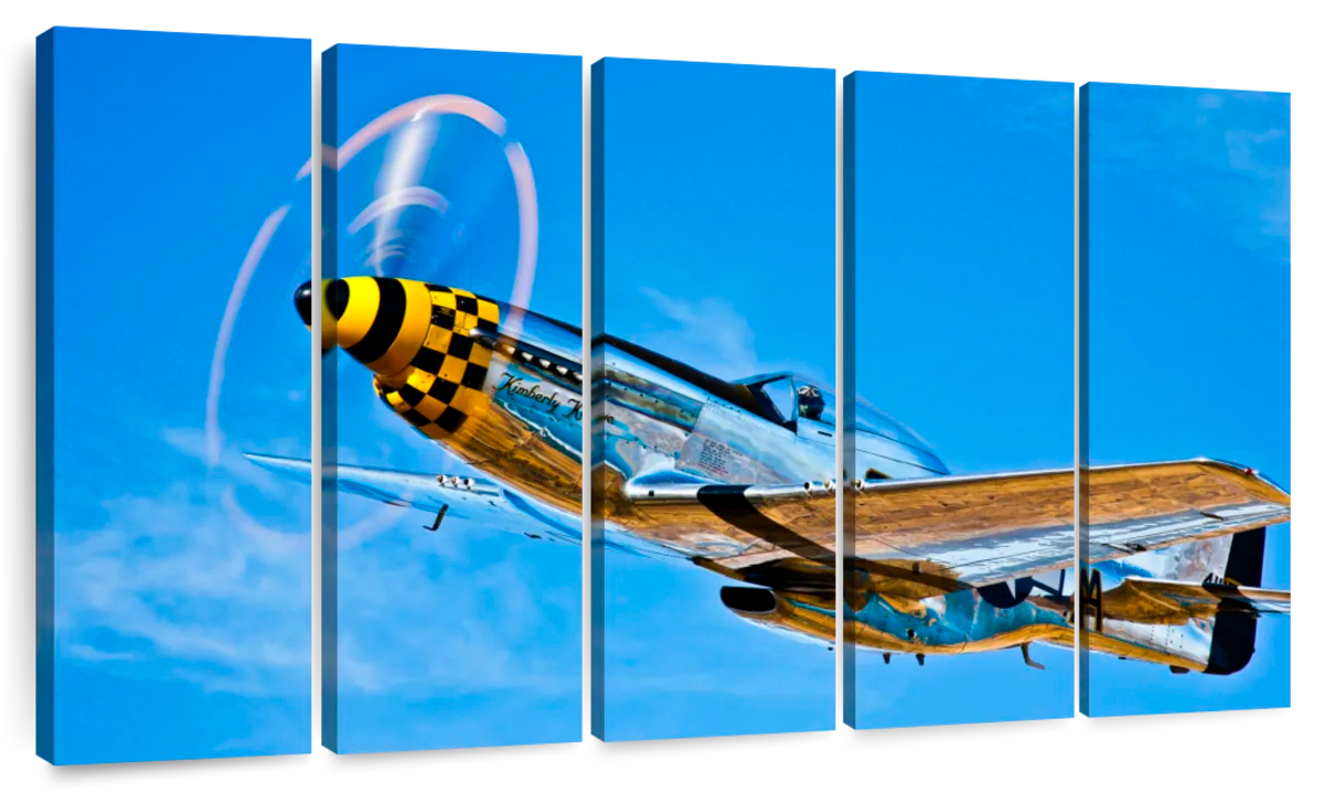 Silver War Aircraft Art Canvas Prints, Frames and Posters