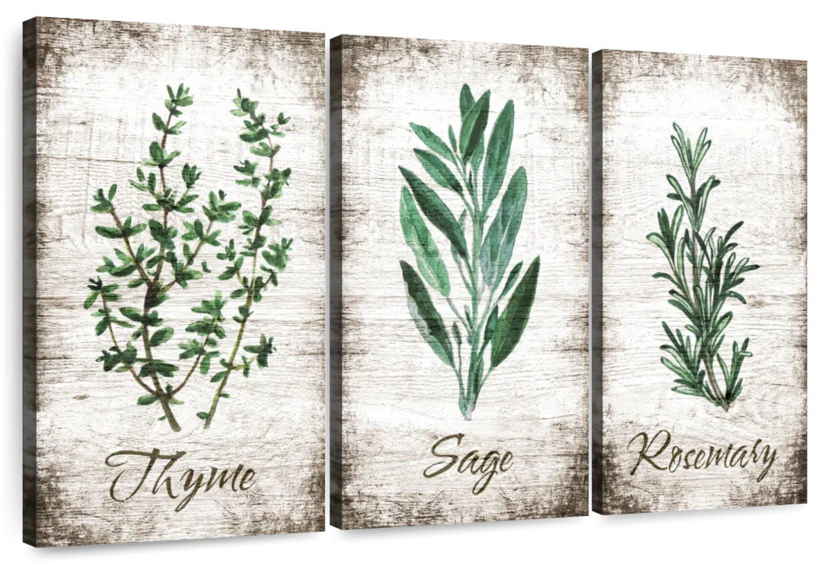 Thyme and Sage