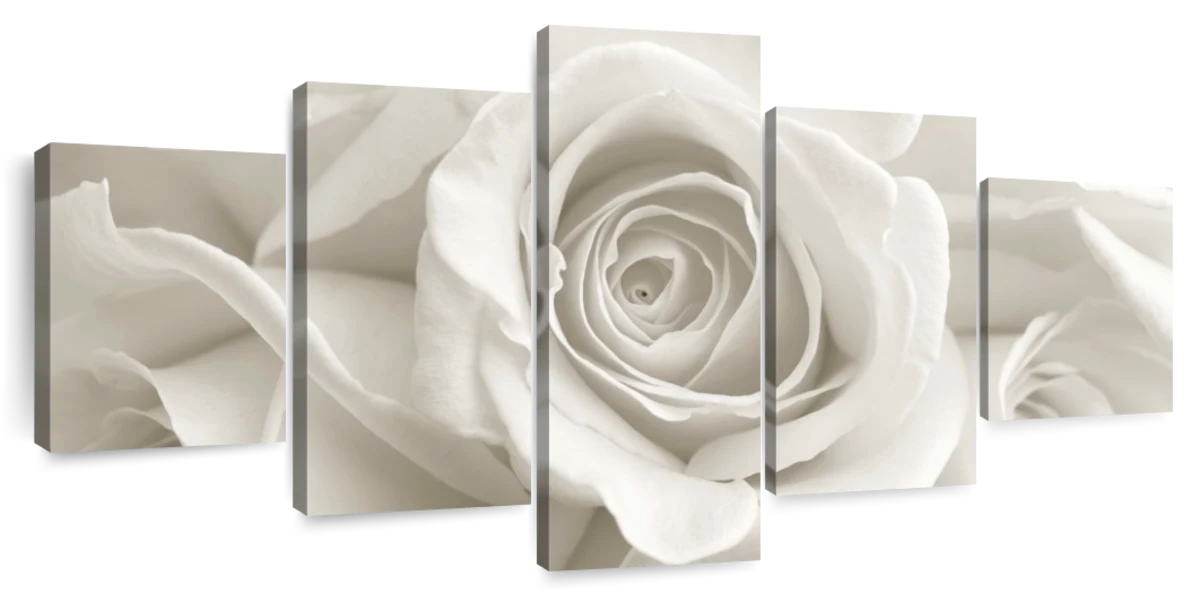 Pure White Roses Wall Art | Photography