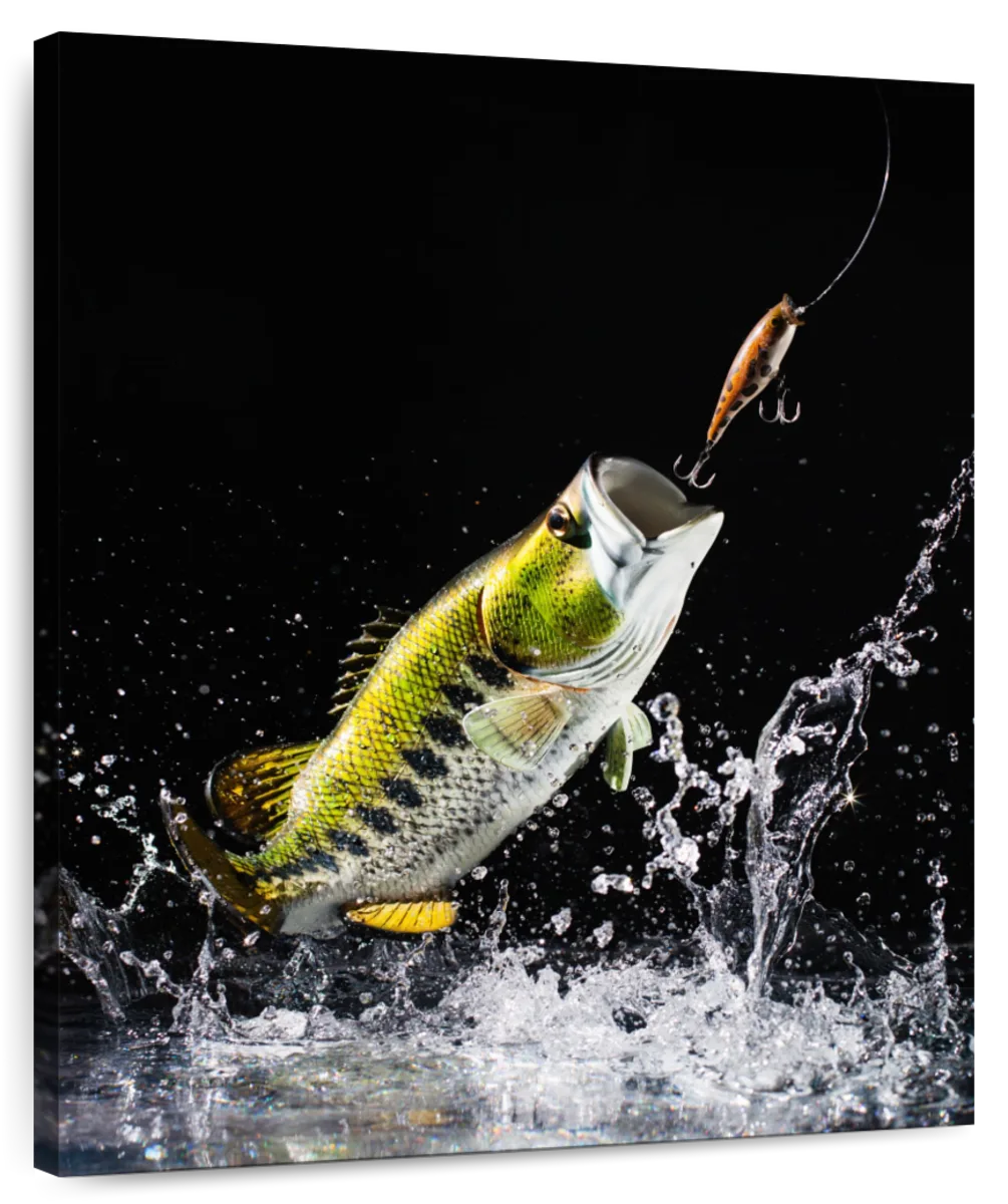 largemouth bass fishing art