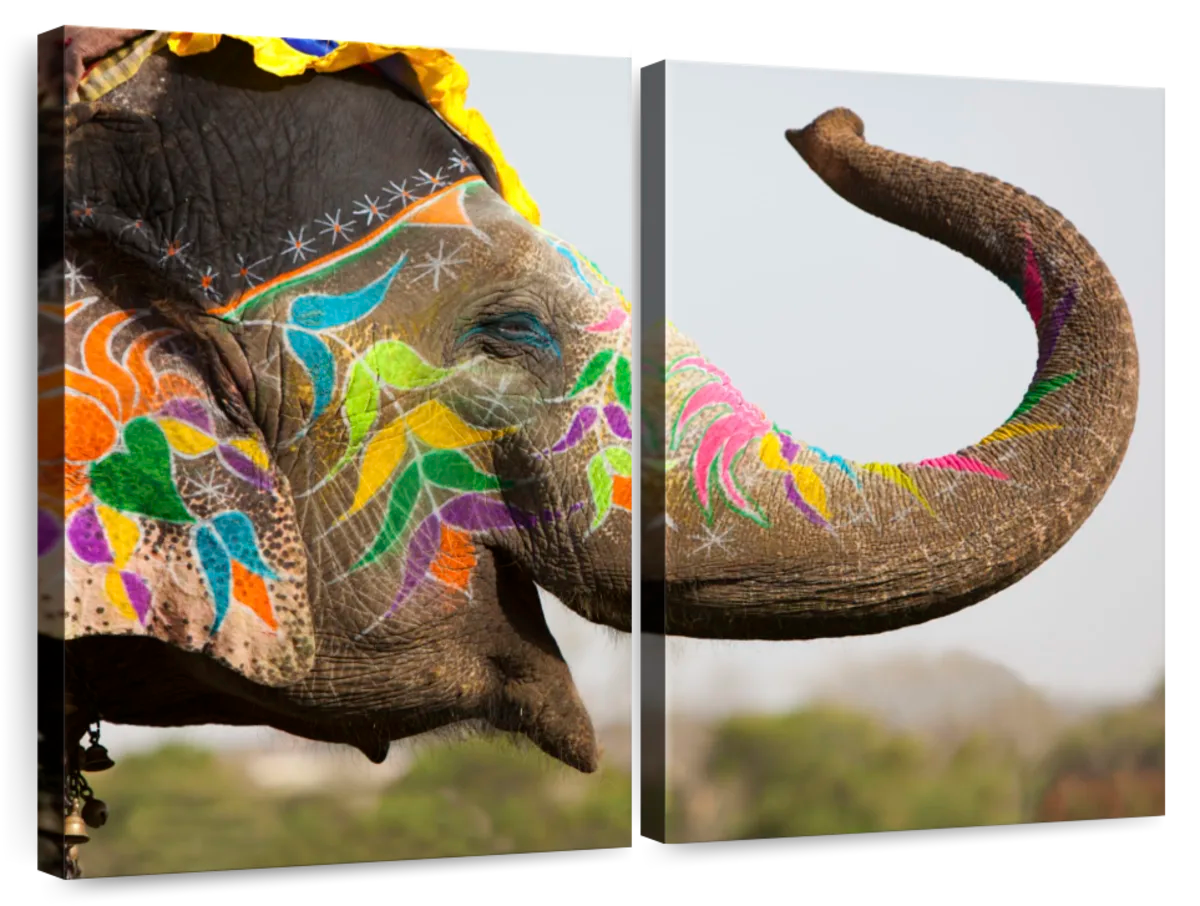 hindu elephant art