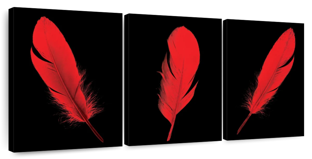 Wall Mural Red Feathers