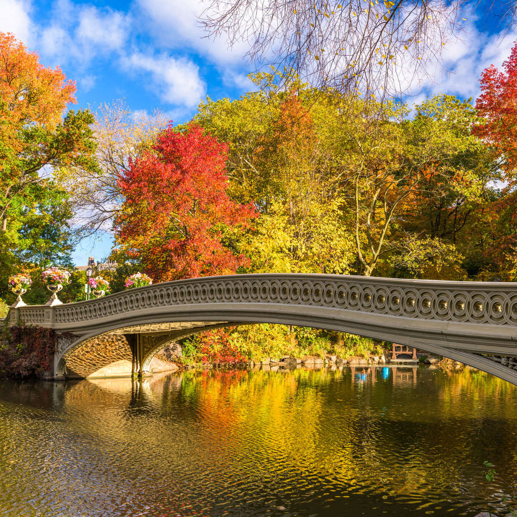 Bow Bridge In Central Park Wall Art | Photography