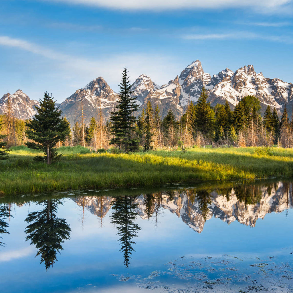 Grand Tetons Reflection Wall Art | Photography