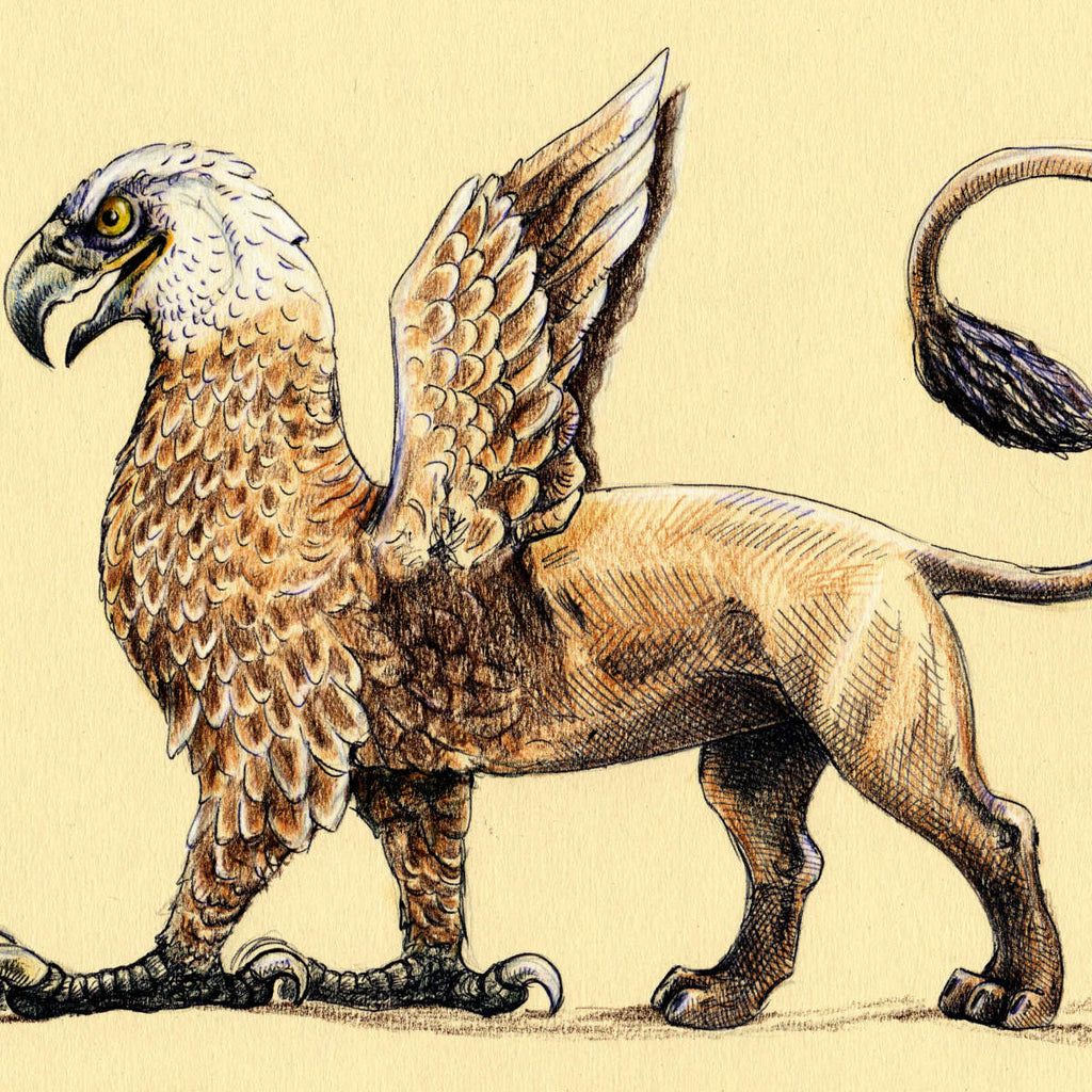 Mythological Griffin Monster Wall Art | Drawing