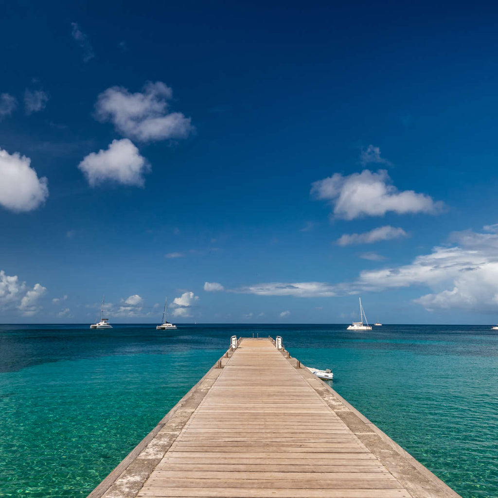 Martinique Beach Pier Wall Art | Photography