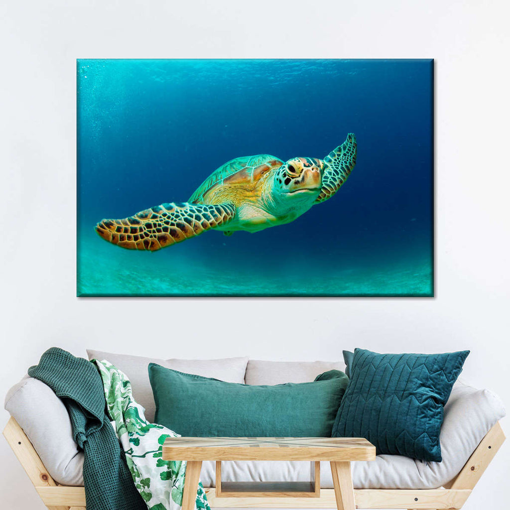 Philippine Green Sea Turtle Wall Art | Photography