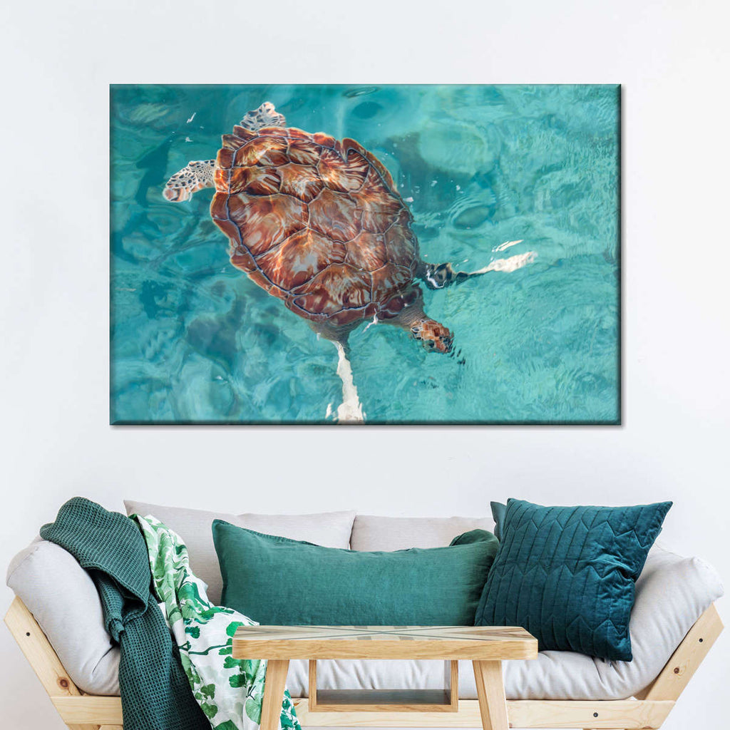 Loggerhead Sea Turtle Wall Art | Photography