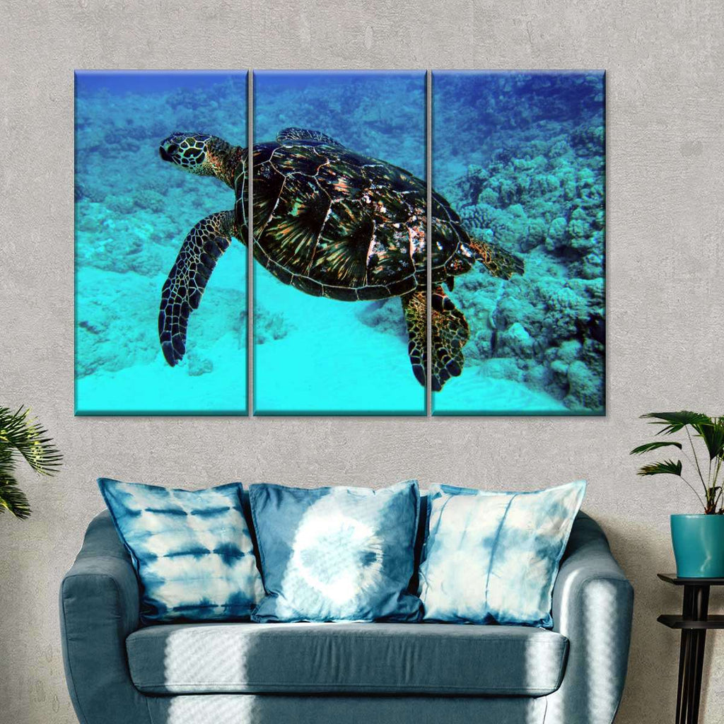 Diving With Sea Turtle Wall Art | Photography