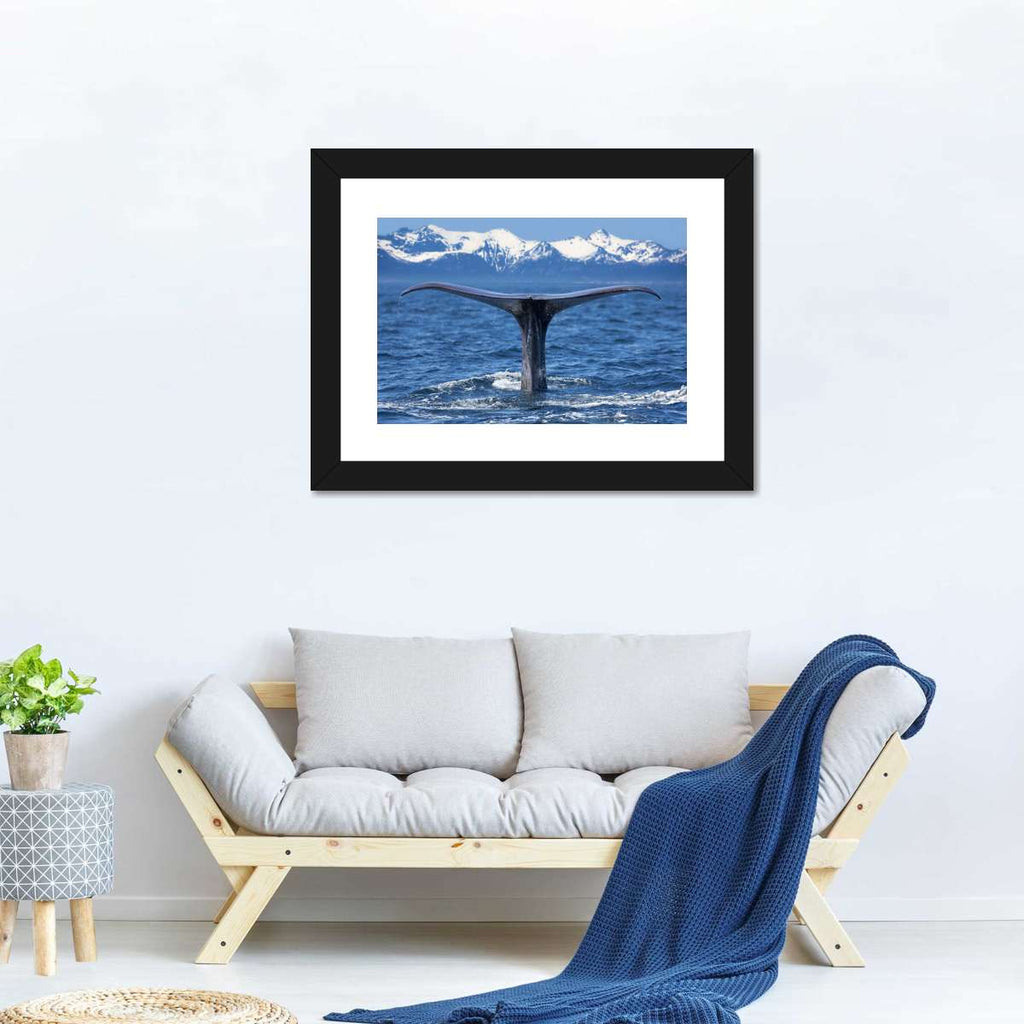 Monterey Bay Whale Wall Art | Photography