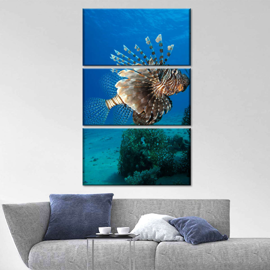 Brown Lionfish Wall Art | Photography