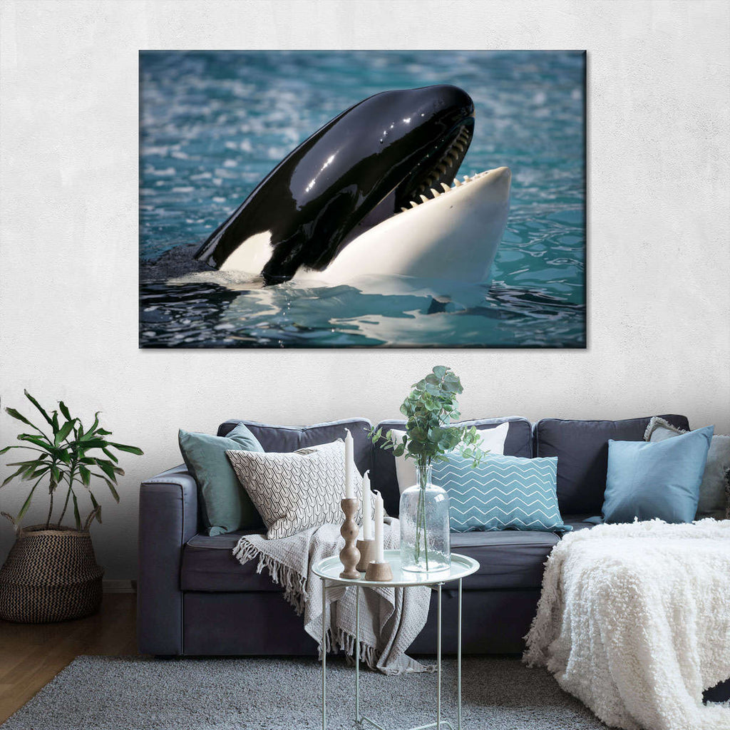 Smiling Killer Whale Wall Art | Photography