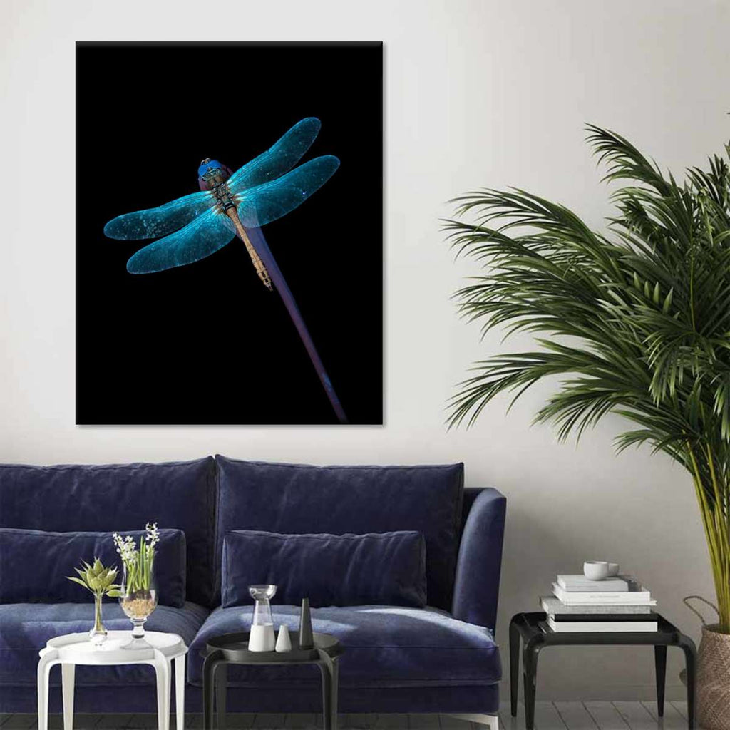 Fluorescent Dragonfly Wall Art | Photography