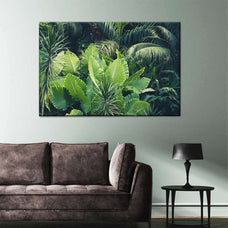 Tropical Jungle Wall Art | Photography