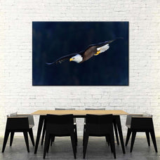 Aerodynamic Eagle Wall Art | Photography