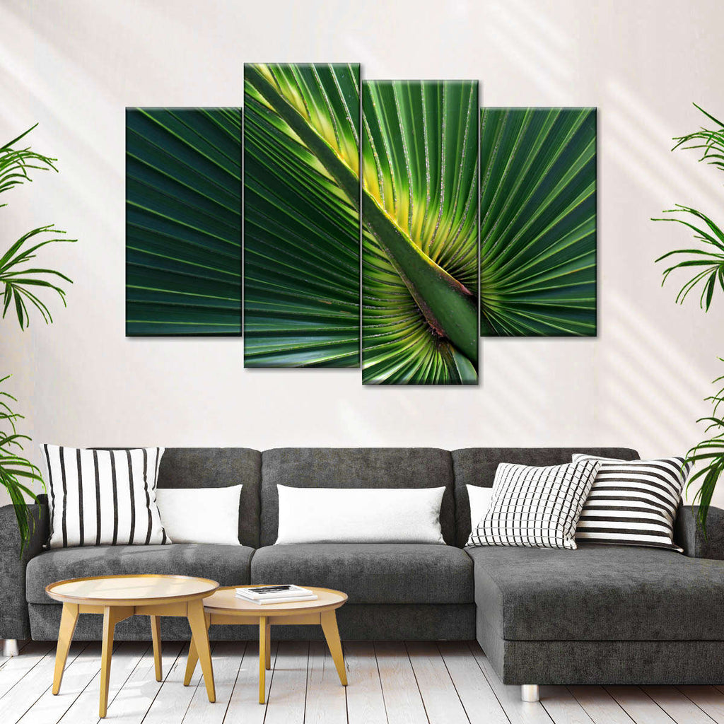 Fan Palm Leaves Wall Art | Photography
