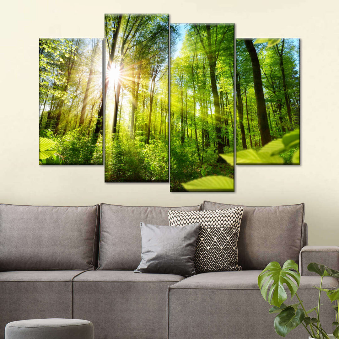 Forest Sunshine Wall Art | Photography