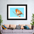 Squawking robin bird 