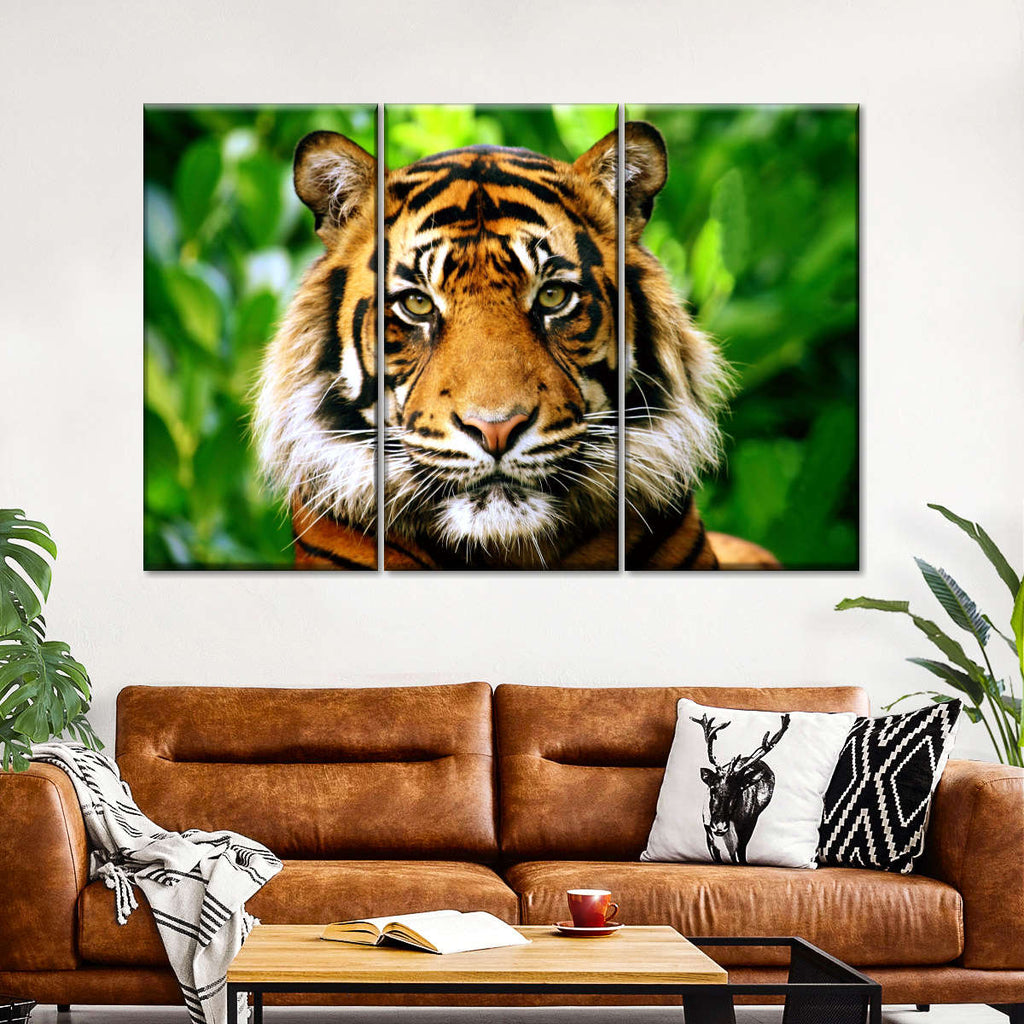 Sumatran Tiger Gaze Wall Art | Photography