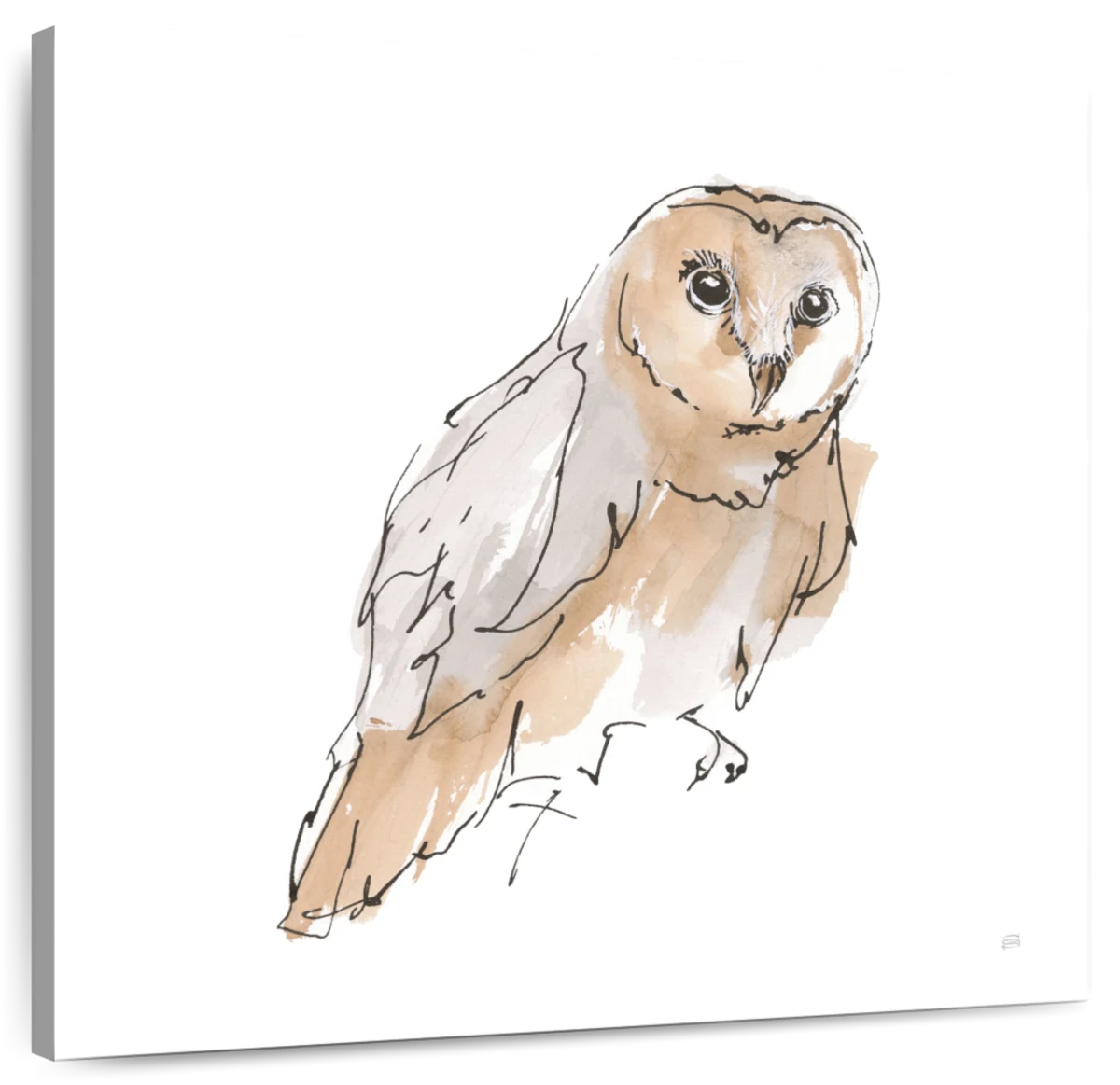 realistic barn owl art