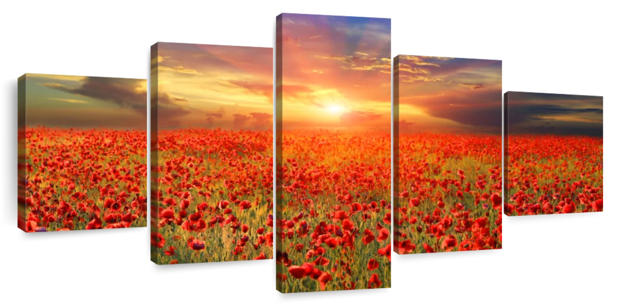 Lush Field Of Poppies Wall Art | Photography