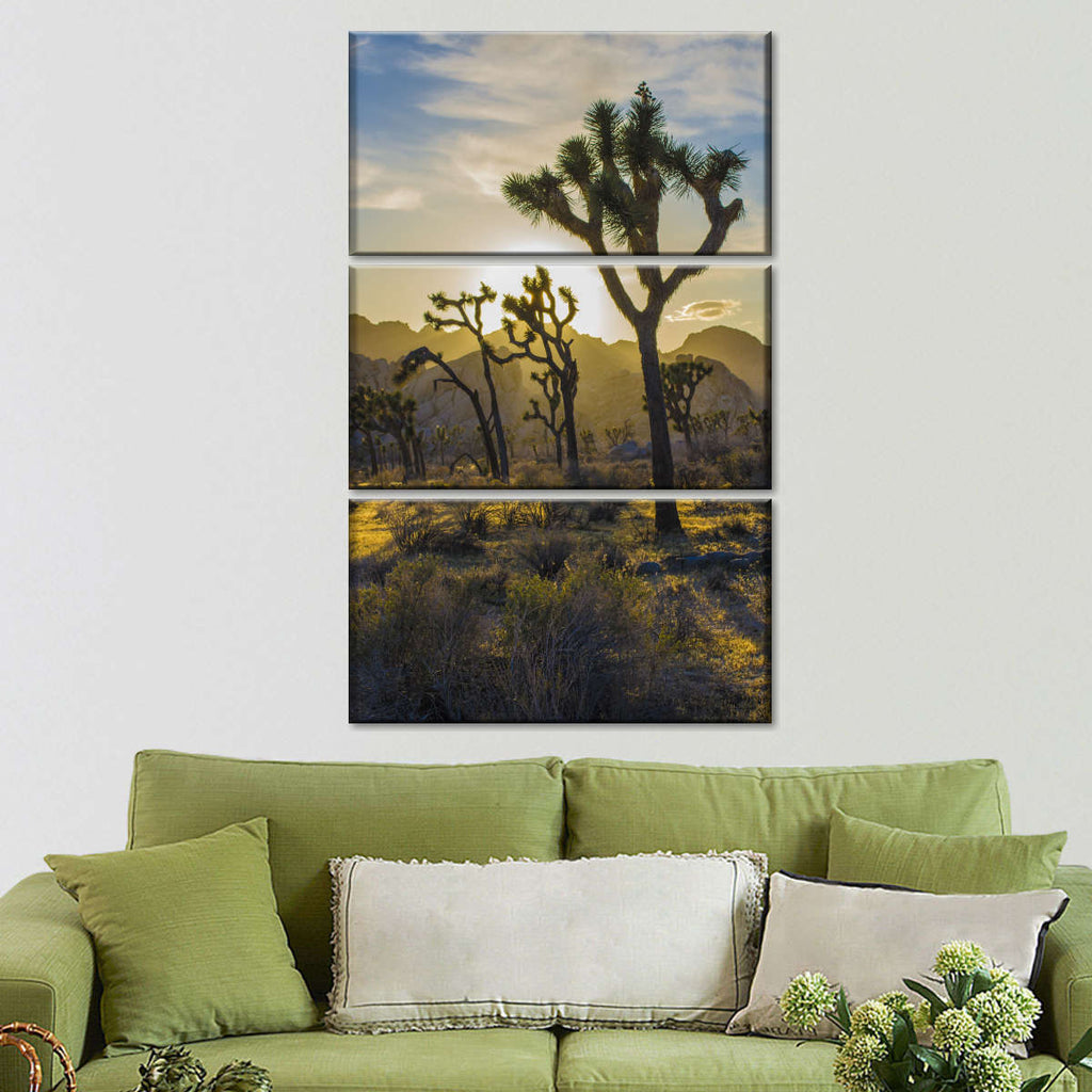 Joshua Tree Park Desert Field Wall Art | Photography