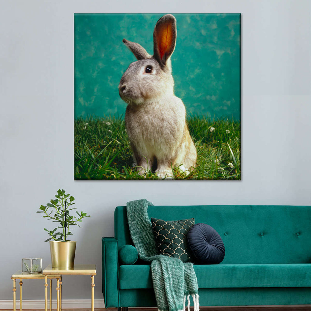Bunny Portrait Wall Art | Photography