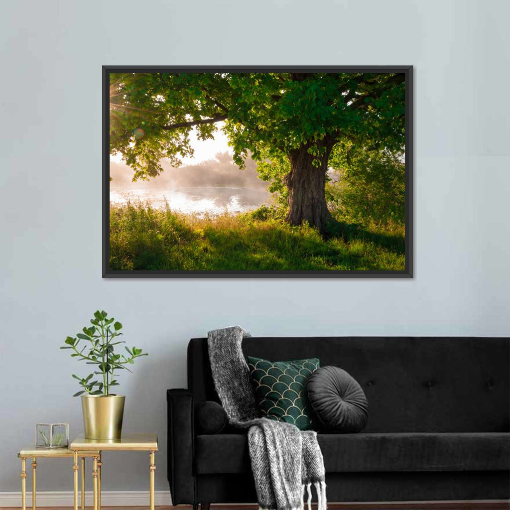Solitary Oak Tree Wall Art | Photography