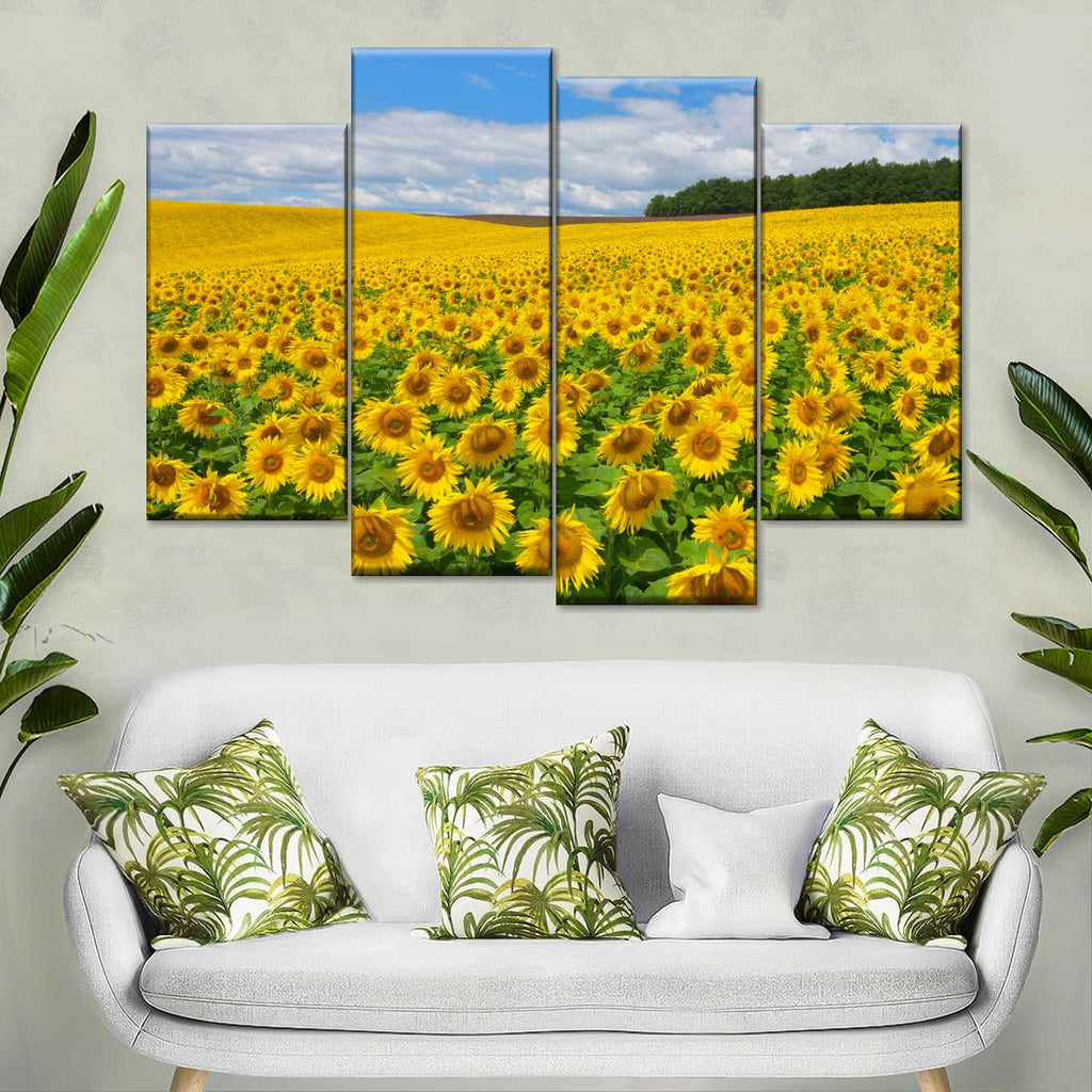 Arnstein Sunflower Field Wall Art | Photography