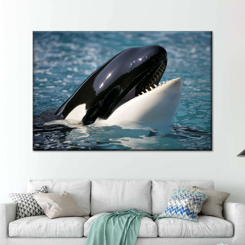 Smiling Killer Whale Wall Art | Photography