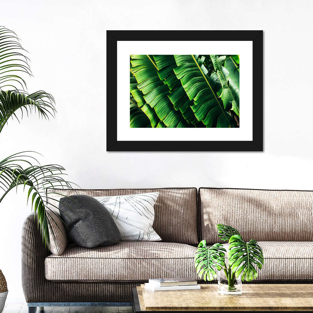 Banana Palm Leaves Wall Art | Photography