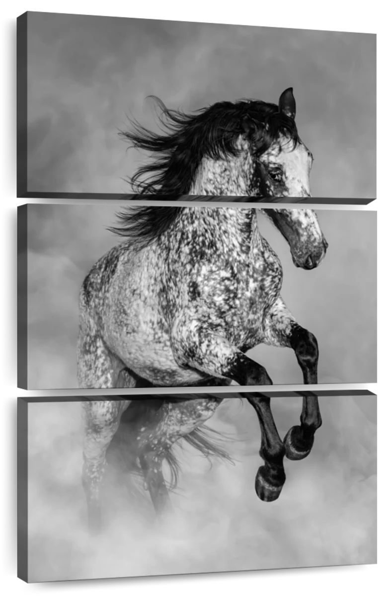 horse black and white art