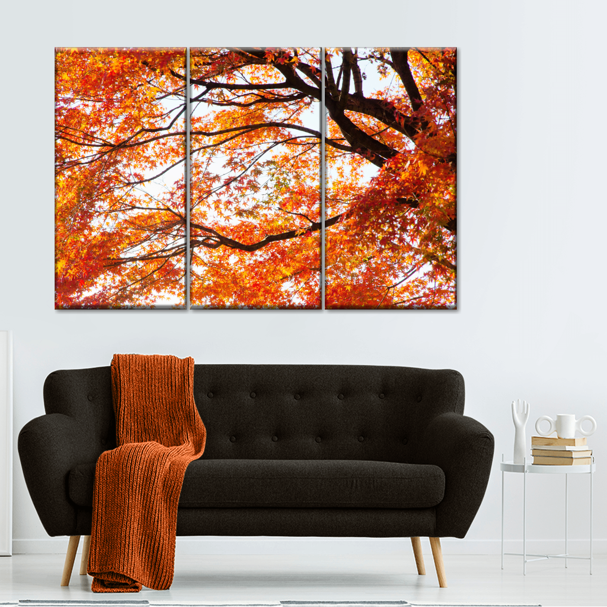 Acer Palmatum In Autumn Wall Art: Canvas Prints, Art Prints & Framed Canvas