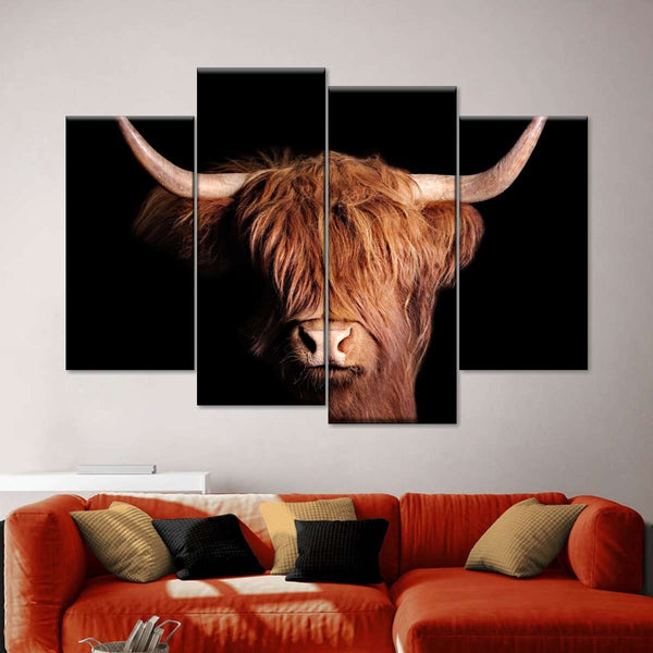 scottish highland cattle canvas pictures