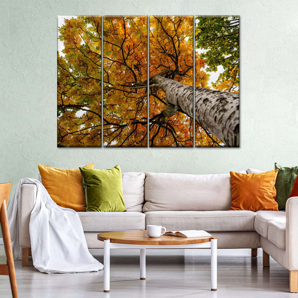 Birch Tree Wall Art | Photography
